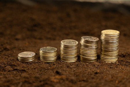 There are stacks of money coins on the black soil. Investment in land. Buying land for farming and making a profit. Money coins for land show profit from farming.の写真素材