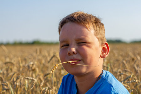 Portrait. A child against the backdrop of a wheat field in summer chews a straw and looks at the camera. A child, covering his eyes, sits in a wheat field in the rays of the summer sun.の写真素材