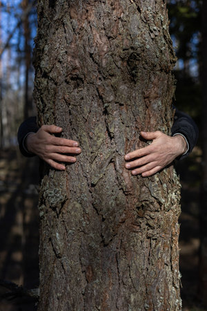 A man hugs a thick tree trunk in the forest as if protecting it. An activist man hugs a tree to...