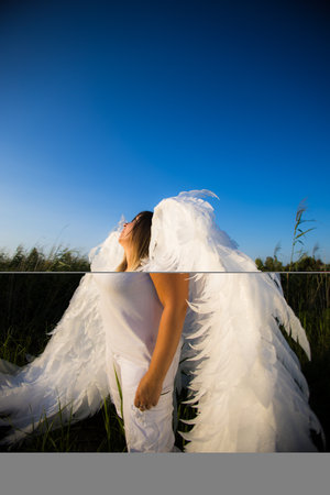 Blonde with big white angel wings and white clothes standing in nature near lake and reeds looking at beautiful clear blue sky. Beautiful angel with white wings looking at sky.の写真素材