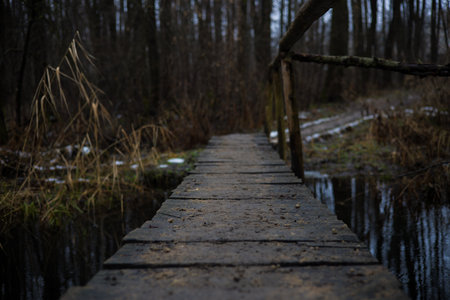 A small wooden bridge over a quiet stream in a dark winter forest surrounded by dry grass and patches of snow on the banks creating a calm and mysterious atmosphere. An old bridge over a small river.の写真素材