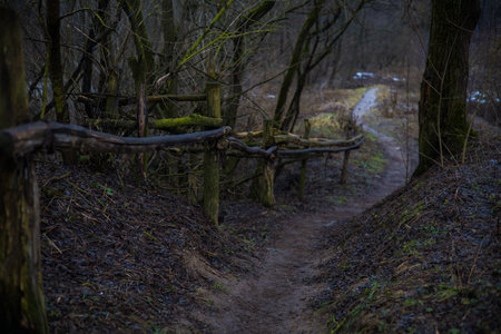 A narrow, winding dirt path winds through a quiet shady forest bordered by a weathered wooden fence that hints at the transition from winter to early spring An old fence along a path through a grove.の写真素材