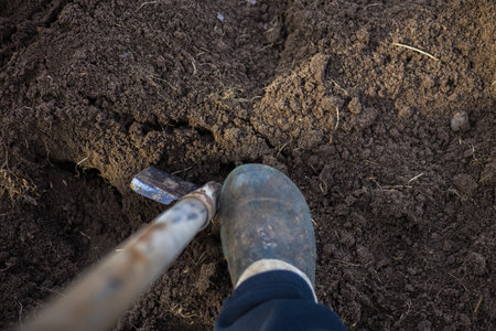 Gardener wearing sturdy boots digs into dark, rich soil with a shovel, preparing the garden for...
