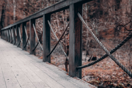 A wooden bridge with rope railings crossing a vibrant autumn forest creates a rustic and evocative atmosphere filled with colorful foliage and serene beauty. Beautiful wooden bridge in the forest.の写真素材