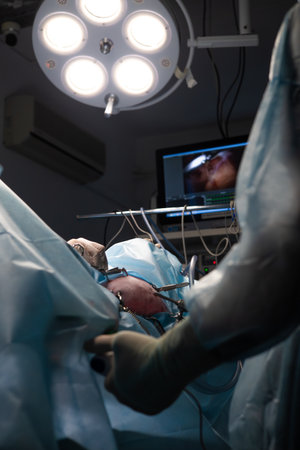 Laparoscopic surgery on a pet. Veterinarians perform complex surgery on an animal using specialized equipment and advanced techniques in the operating room. Concept veterinary laparoscopy.の写真素材