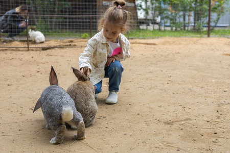 A child gently pets and interacts with two adorable rabbits at a petting zoo, discovering the joys of caring for animals and enjoying a fun outdoor activity. A child feeds rabbits at a petting zoo.の写真素材