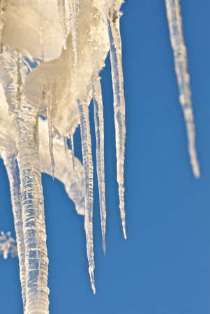 Icicles in the sun.