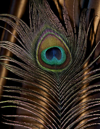 Quirks of nature の写真素材