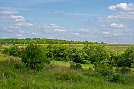 Spring landscape の写真素材