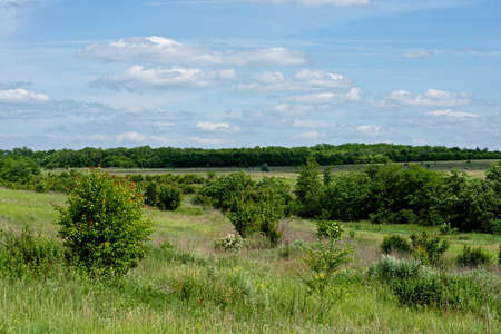 Spring landscape の写真素材