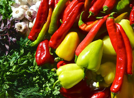 Autumn vegetables の写真素材