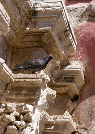 In the shadow of the old walls の写真素材