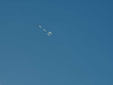 Airmanship の写真素材