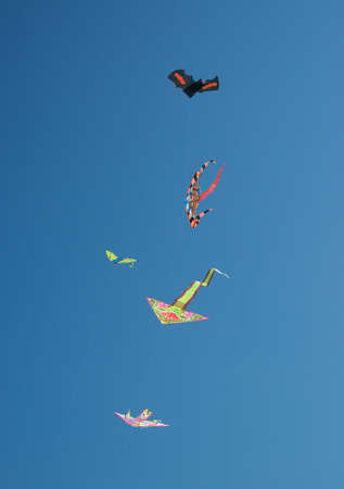 The kites in the sky.の写真素材