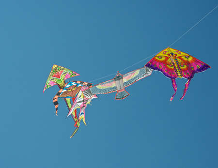 The kites in the sky.の写真素材