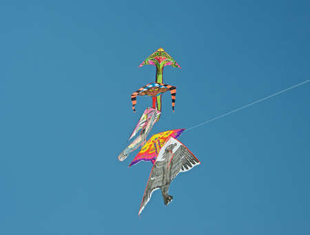 The kites in the sky.の写真素材