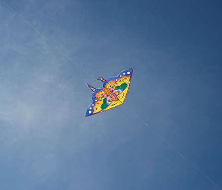 Kite flying in the sky.の写真素材