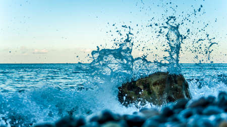 spikeの写真素材