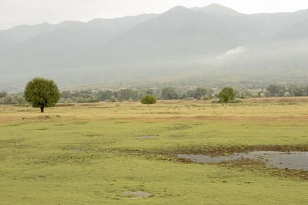 Landscape in the area of Kerkini lake in northern Greeceの写真素材