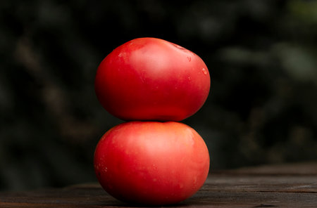 Red tomato on a wooden tableの写真素材