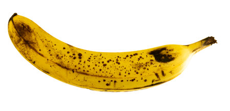 Yellow rotten banana isolated on a white backgroundの写真素材