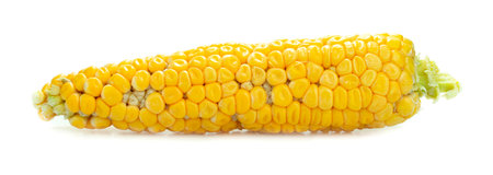 Yellow corn isolated on a white backgroundの写真素材