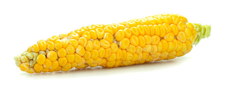 Yellow corn isolated on a white backgroundの写真素材