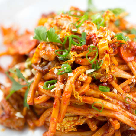 Spicy baby octopus stir fry with udon noodlesの写真素材