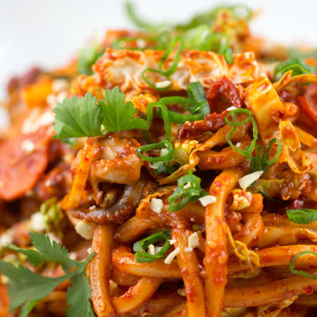Spicy baby octopus stir fry with udon noodlesの写真素材