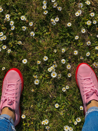 Pink sneakers on a background of daisies.の写真素材