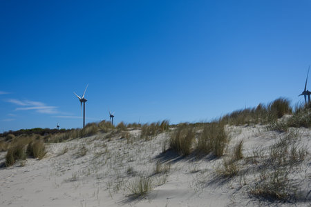 White sand dunes and blue sky
