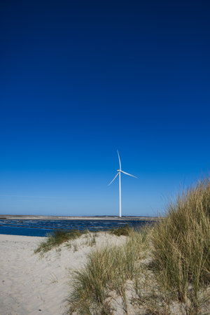 Wind turbines on the beach, dune grass and blue sky.