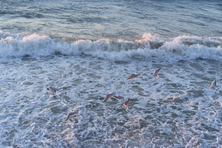 Waves on the sea panorama. Sunset on the sea.