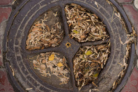 A closeup shot of a manhole cover covered with dry leavesの写真素材