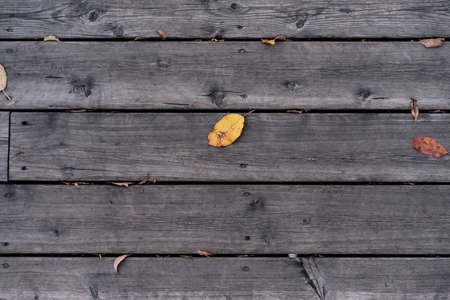Old dark wood texture background surface with natural patternの写真素材