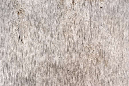 Old bright wood texture background surface with natural patternの写真素材
