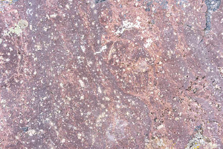 Textured stone sandstone surface. Close up imageの写真素材