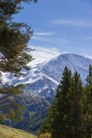 Breathtaking panorama of morning wild nature high in mountainsの写真素材