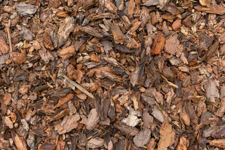 Pine Bark Mulch. A pile of wood chips to be used as landscaping mulchの写真素材