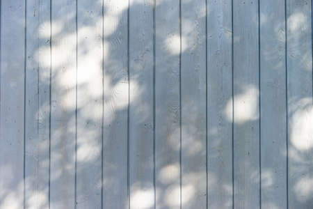 Wooden plank texture in turquoise blue shades, hues. Rustic natural wooden planks with cracks,...