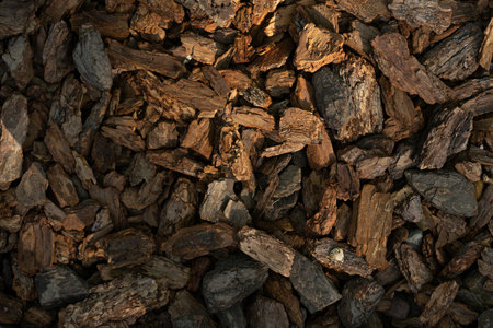 A pile of wood chips to be used as landscaping mulch. high quality photo