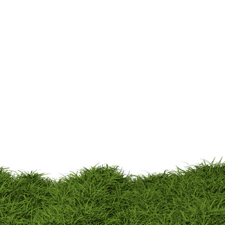 green grass field isolated on white background.の写真素材