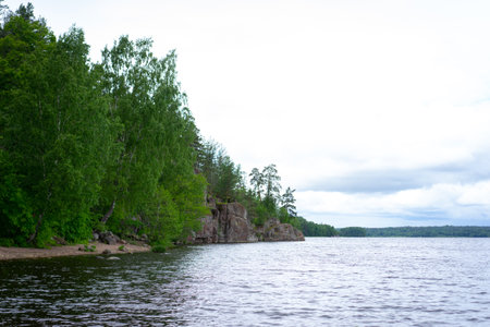 Panorama of forest lake. Lake among the forest on a sunny summer day. Panorama of a lake in the woods. Panorama of a wild lake with a solid forest on the shores.の写真素材