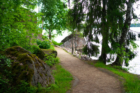 Panorama of forest lake. Lake among the forest on a sunny summer day. Panorama of a lake in the...