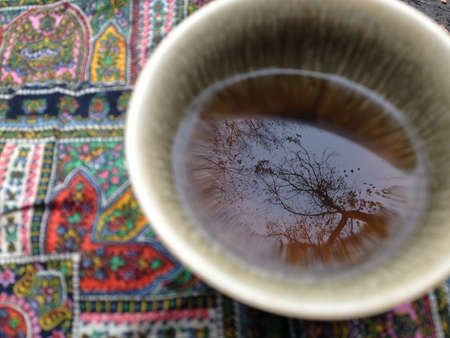 Trees are reflected in a cup with Chinese tea.の写真素材