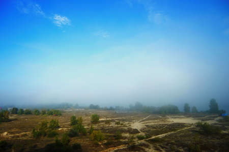 Landscape with fog and blue sky. Trees in the morning mistの写真素材