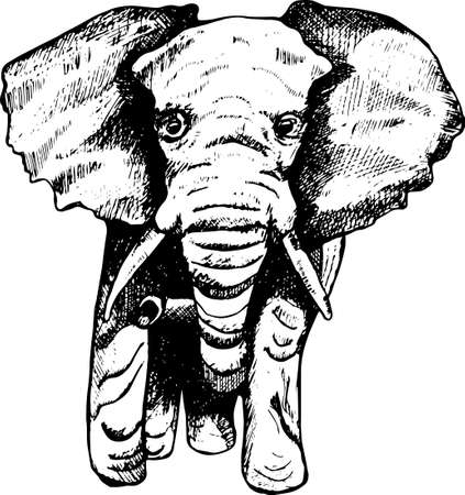 Illustration of an elephant computer hatching. Black elephant tattoosの写真素材