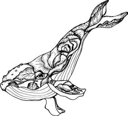 Illustration of a stylized whale with a flower tattooのイラスト素材