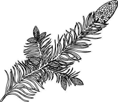Black and white illustration of a branch. Bumps on a branchのイラスト素材