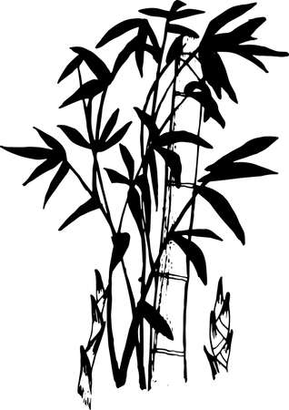 Black and white illustration of a beauty bamboo tattooの写真素材